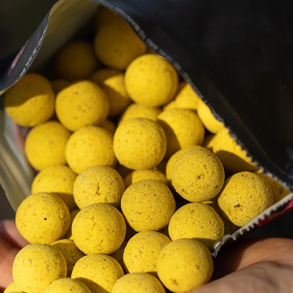 MAINLINE MAINLINE Shelf Life Cell, Essential Cell + Link - 1kg - Parkfield Angling Centre