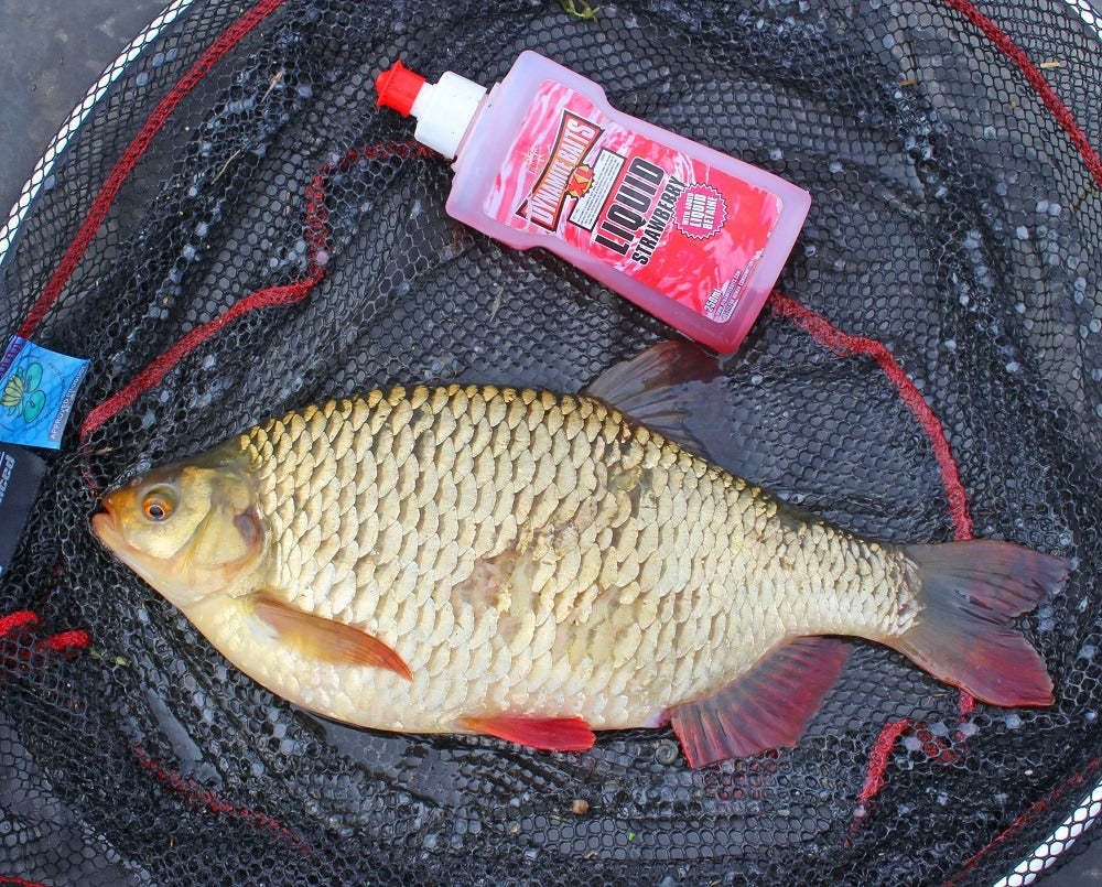 DYNAMITE DYNAMITE XL Liquids - Parkfield Angling Centre