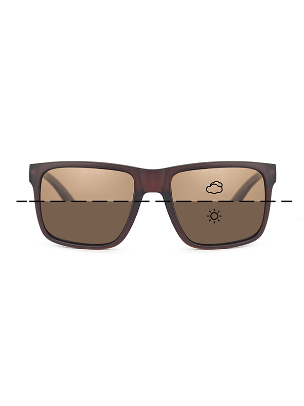 FORTIS FORTIS Bays - Switch Brown Sunglasses - Parkfield Angling Centre