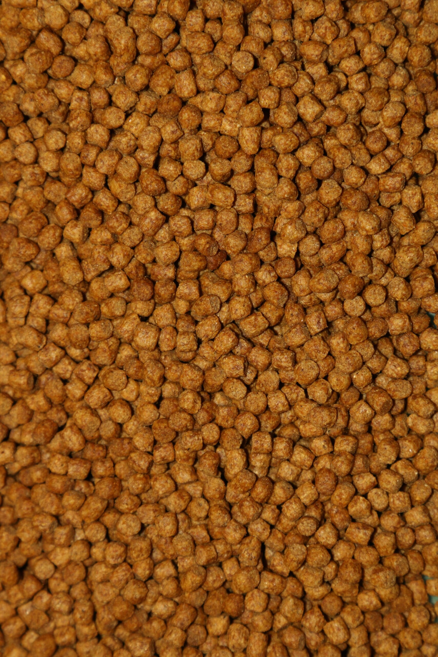 BLAKES BAITS BLAKES BAITS Match Expander Pellets - Parkfield Angling Centre