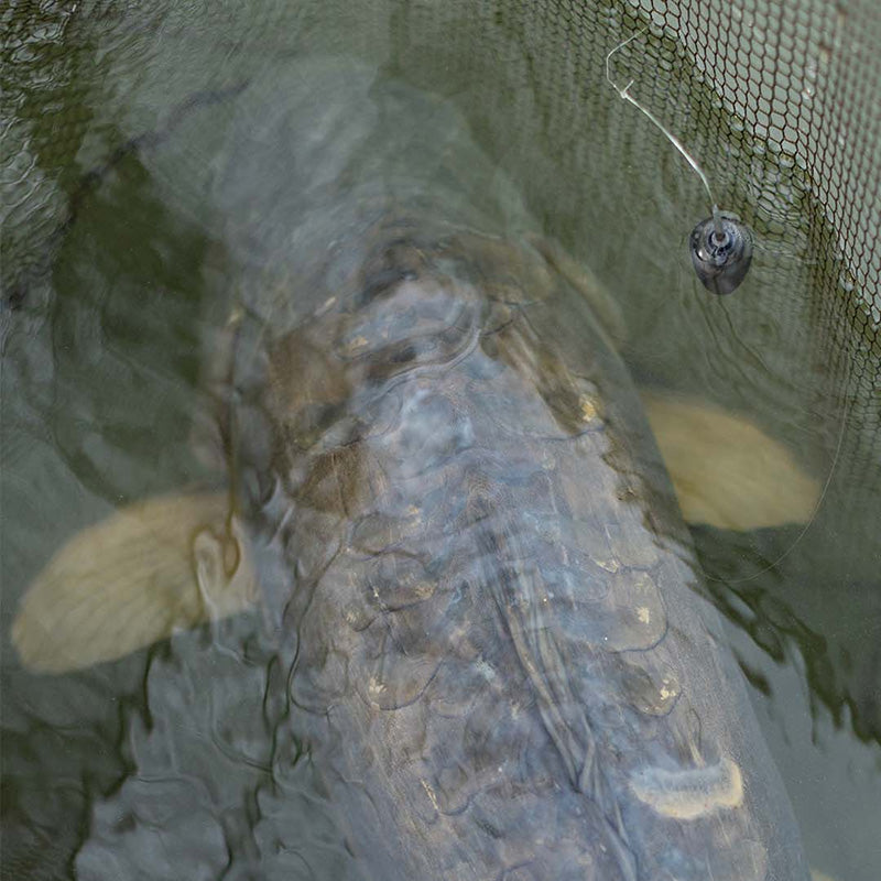 KORDA KORDA Zig Kit Bundle - Parkfield Angling Centre