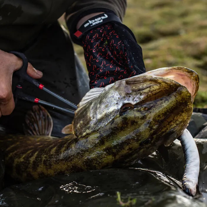 FOX FOX RAGE Foreceps 9.5" - Parkfield Angling Centre
