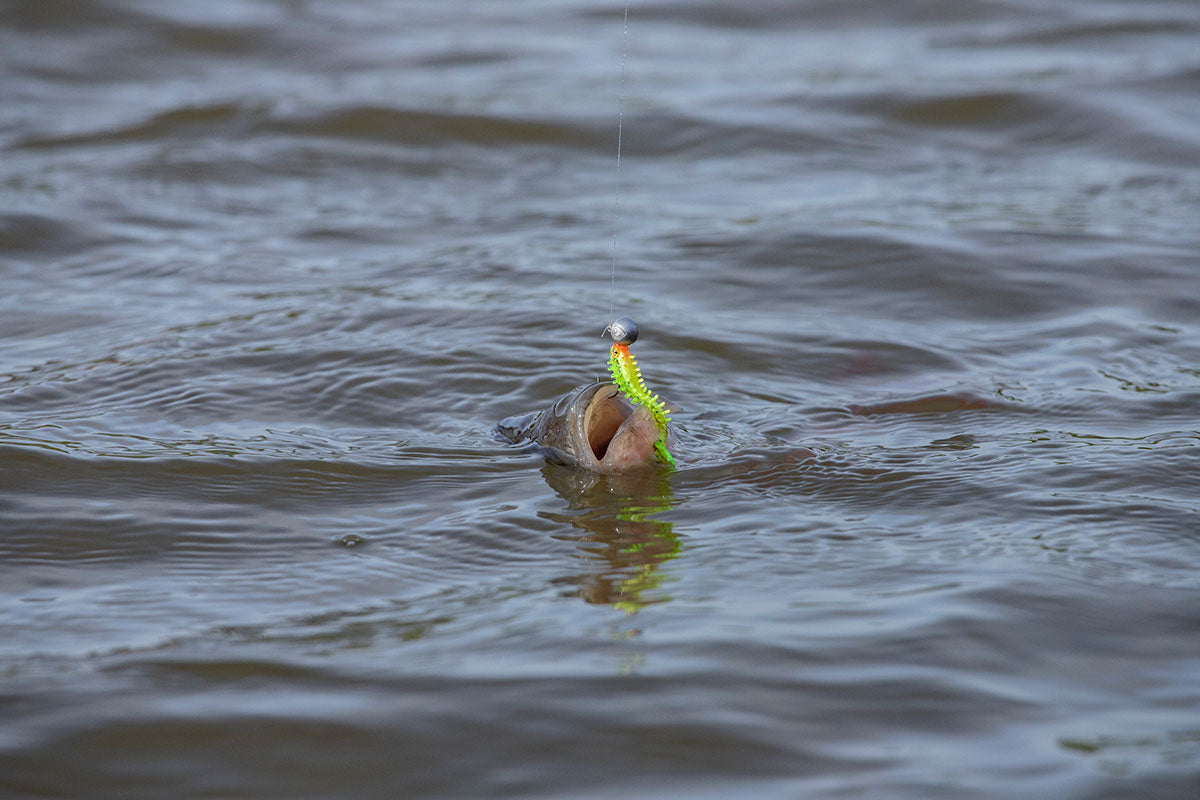 FOX FOX Micro Jighead size x 5 - Parkfield Angling Centre