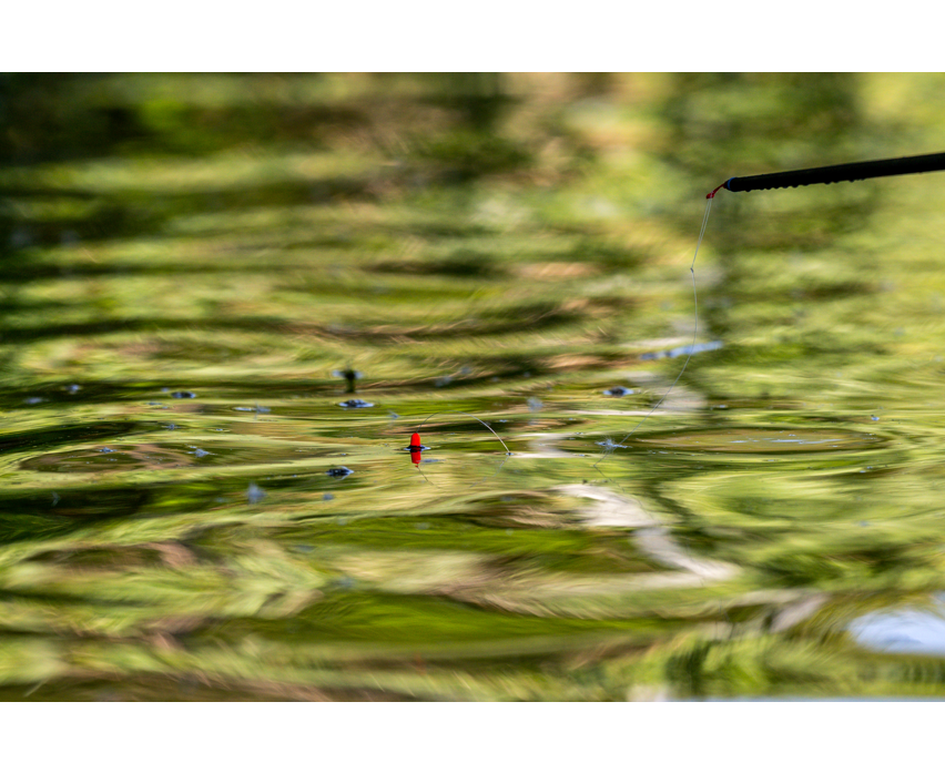 PRESTON PRESTON F1 Dibbers - Parkfield Angling Centre