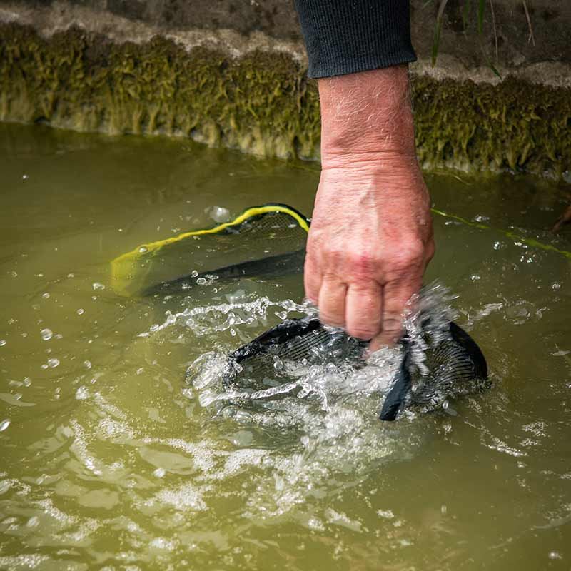 MATRIX MATRIX Pellet Soaker - Parkfield Angling Centre
