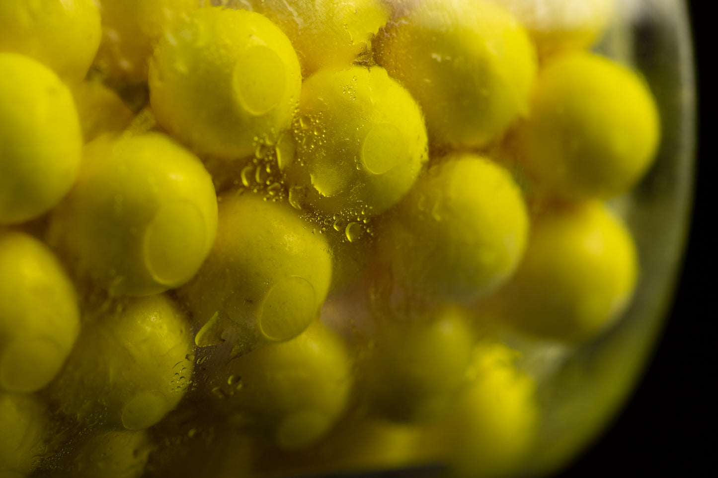 STICKY BAITS STICKY BAITS Pineapple & N'Butyric Bait Spray 50ml Spray - Parkfield Angling Centre