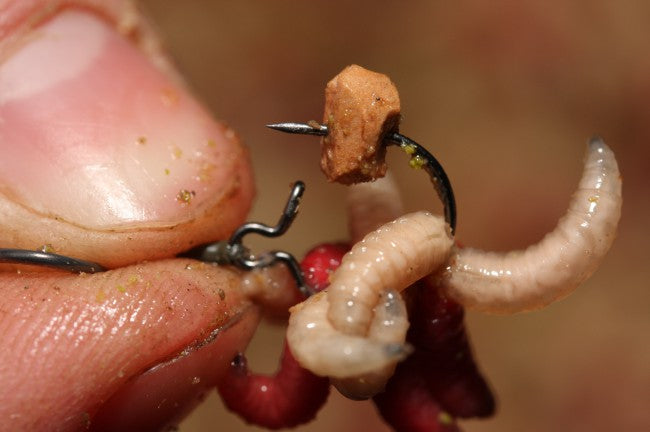 KORDA KORDA Maggot Klips - Parkfield Angling Centre