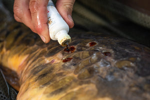 KORDA KORDA Propolis Carp Care  - Parkfield Angling Centre