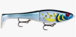 RAPALA X-Rap Peto Xrpt14