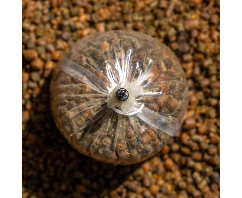AVID AVID Outline FleckTone Short Bag Stem - Ring Swivel - Parkfield Angling Centre