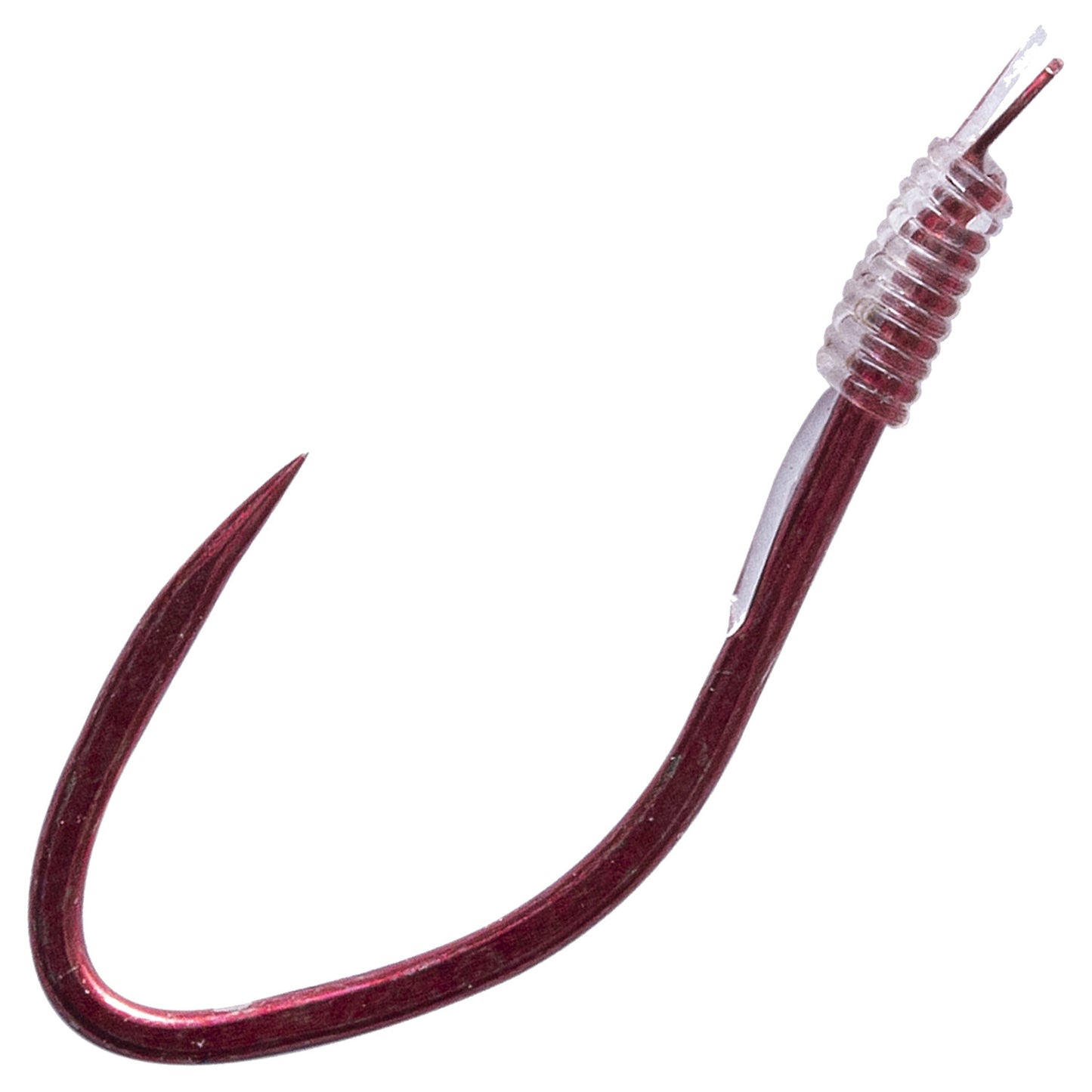 DRENNAN DRENNAN HTN Plate 6", Carp Maggot  - Parkfield Angling Centre