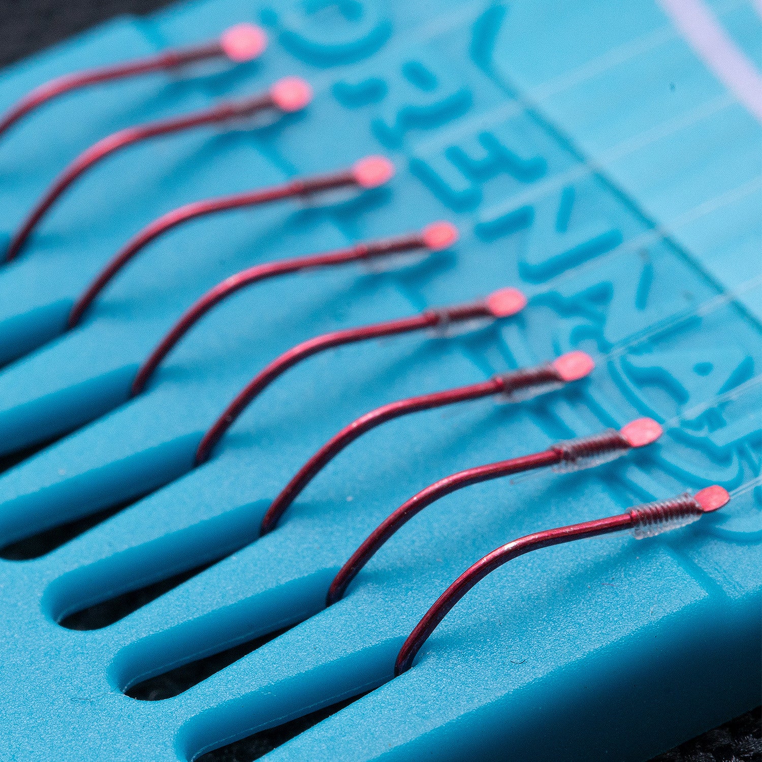 DRENNAN DRENNAN HTN Plate 6", Carp Maggot  - Parkfield Angling Centre