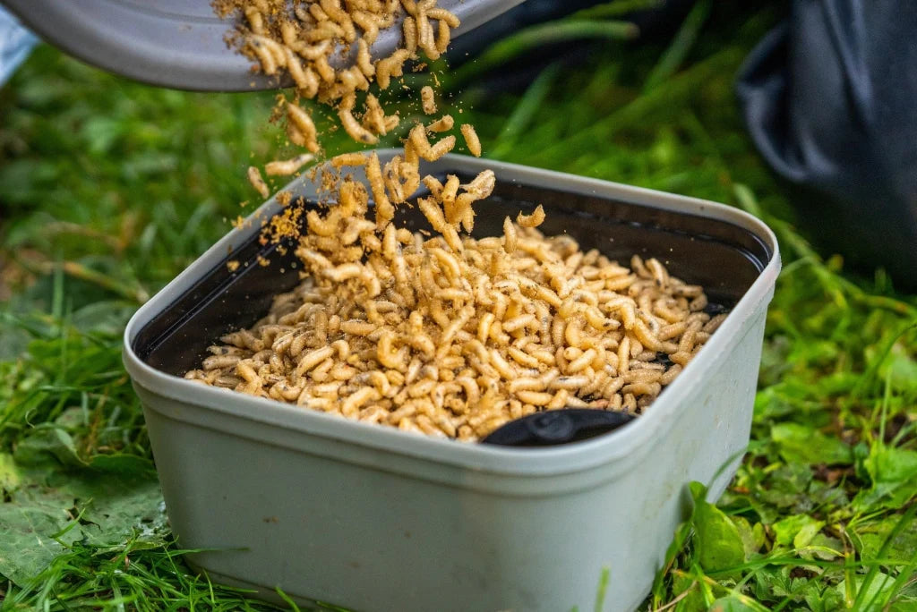 GURU GURU Maggot Riddle Black  - Parkfield Angling Centre