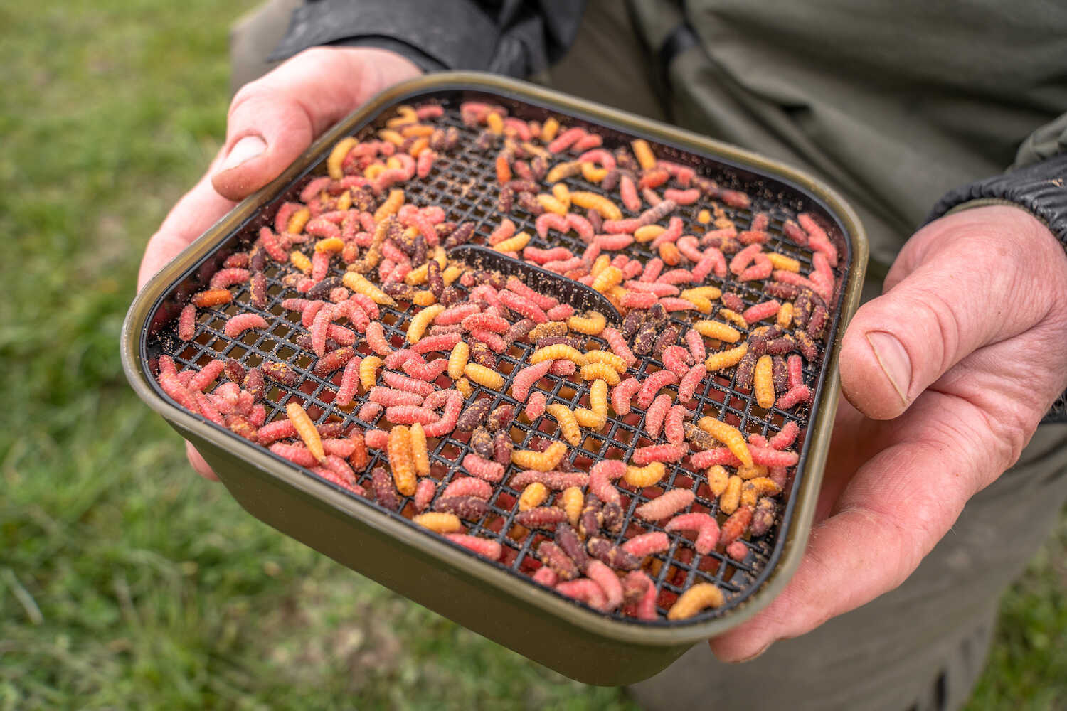 KORUM Maggot Tub And Riddle - 2Pt/1.2L – Parkfield Angling Centre