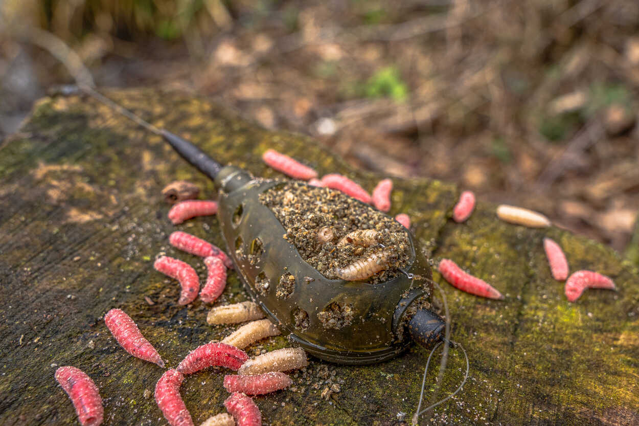 KORUM KORUM Camo Window Feeder  - Parkfield Angling Centre