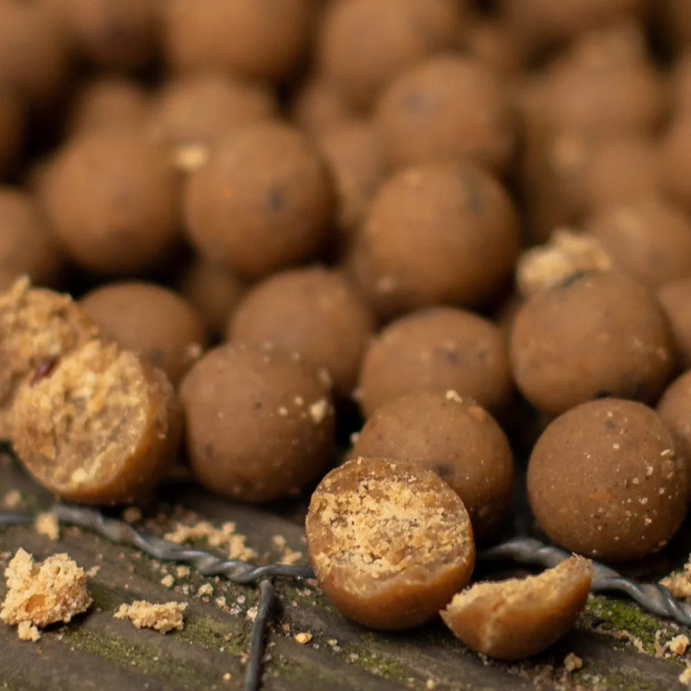 NASH NASH Scopex Squid Boilies  - Parkfield Angling Centre