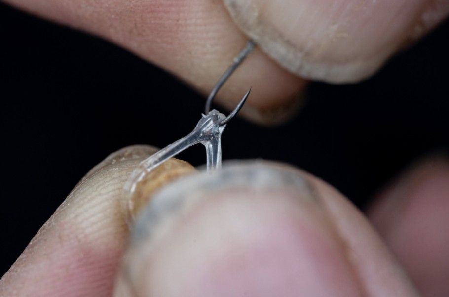 PRESTON PRESTON Hookable Bait Bands - Medium - Parkfield Angling Centre