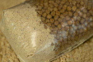 Sticky Baits Sticky Baits Manilla Active Mix  - Parkfield Angling Centre